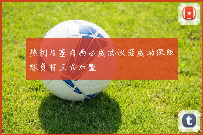 热刺与塞内西达成协议若成功保级球员将正式加盟