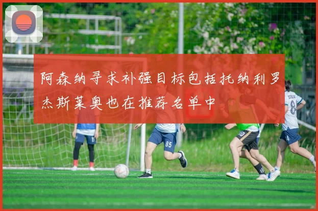 阿森纳寻求补强目标包括托纳利罗杰斯莱奥也在推荐名单中